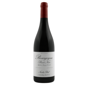 Vinho Tinto Bourgogne Pinot Noir Nicolas Potel